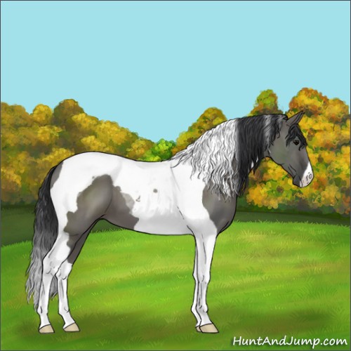 Horse Color:Grullo Tobiano