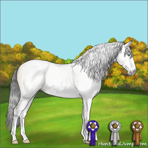 Horse Color:Gray Sable Cream Champagne Dun Sabino 