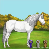 Horse Color:Gray Sable Cream Champagne Dun Sabino