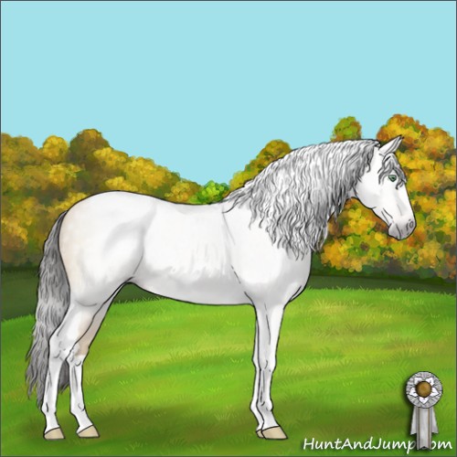 Horse Color:Gray Sable Cream Champagne Dun Sabino Tobiano 