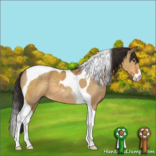 Horse Color:Buckskin Dun Sabino Tobiano