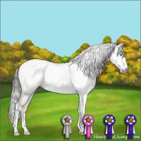 Horse Color:Gray Sable Champagne Dun Sabino Tobiano 