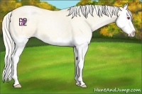 Horse Color:Silver Smoky Blue Chinchilla Roan Pearl Splash 