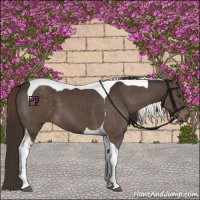 Horse Color:Liver Chestnut Tobiano 