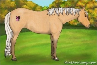 Horse Color:Silver Buckskin Roan 