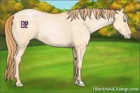 Horse Color:Buckskin Roan Pearl 