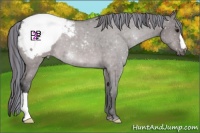 Horse Color:Platinum Painted Buckskin Dun Snowcap 