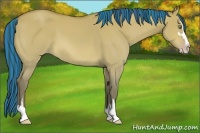 Horse Color:Platinum Painted Amber Champagne Dun Sabino
