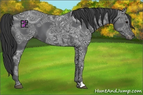 Horse Color:Black Ice 