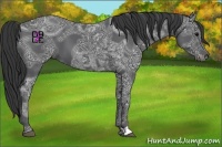 Horse Color:Black Ice 