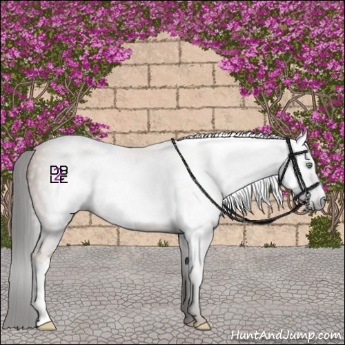 Horse Color:Gray Amber Champagne Frame 