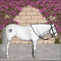 Horse Color:Gray Amber Champagne Frame 