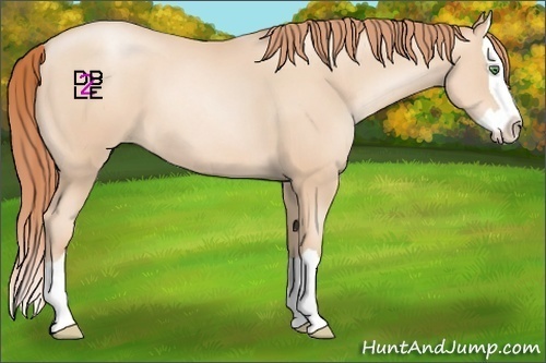 Horse Color:Classic Champagne Pearl Splash 