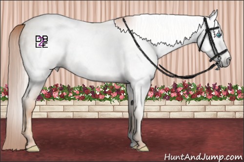Horse Color:Gray Amber Champagne Pearl 
