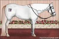 Horse Color:Gray Amber Champagne Pearl 