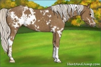 Horse Color:White Spotted Silver Smoky Black Sabino 