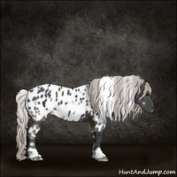 Horse Color:White Spotted Midnight Silver Black Ice Near Leopard 