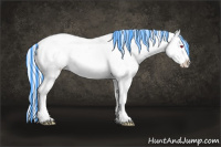 Horse Color:Painted Midnight Silver Black Chinchilla Ice Splash Appaloosa 