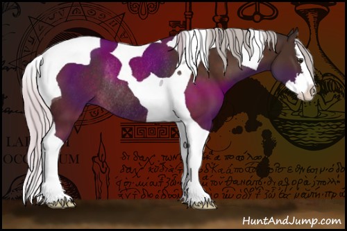Horse Color:Silver Brown Sabino Splash Tobiano Rabicano