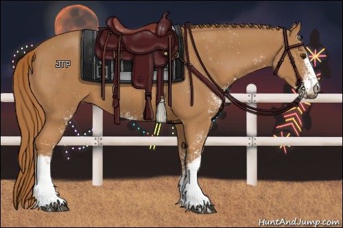 Horse Color:Chestnut Sabino 