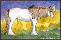 Horse Color:White Spotted Chestnut 