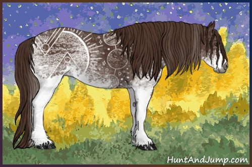 Horse Color:Gray White Spotted Chestnut 