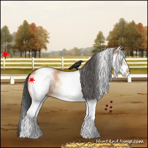 Horse Color:White Spotted Bay Dun 