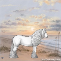 Horse Color:Gray Nacre White Spotted Brown Chinchilla Ice Dun Splash Tobiano Frame 