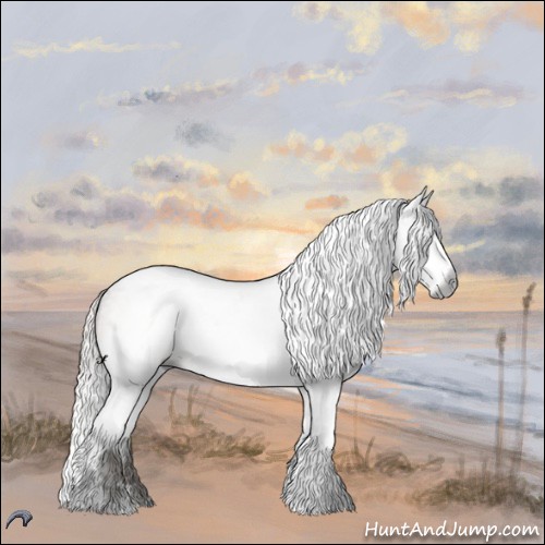 Horse Color:Gray Silver Brown Chinchilla Ice Roan Splash