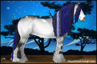 Horse Color:Gray Painted White Spotted Buckskin Chinchilla Onyx Tobiano 