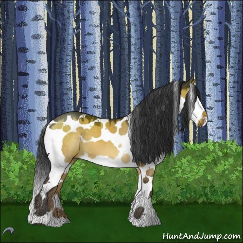 Horse Color:Brown Dun Splash Tobiano
