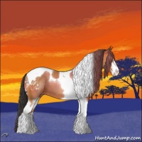 Horse Color:Bay Sabino Tobiano Appaloosa 