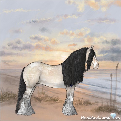Horse Color:Brown Ice Roan Dun Sabino