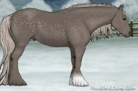 Horse Color:Silver Black 