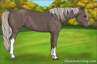 Horse Color:Silver Black 