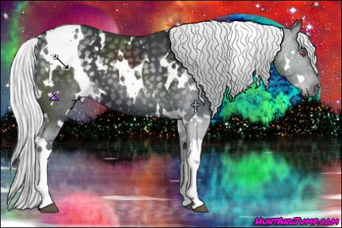 Horse Color:White Spotted Silver Black Chinchilla 