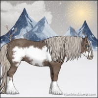 Horse Color:Silver Black Frame 