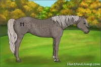 Horse Color:Silver Black 