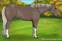 Horse Color:Silver Black 