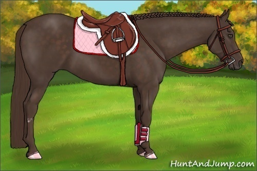Horse Color:Liver Chestnut Frame 