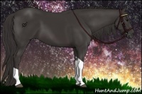 Horse Color:Smoky Black Tobiano 