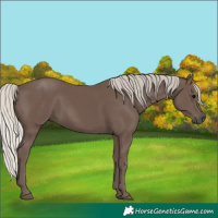 Horse Color:Silver Black 
