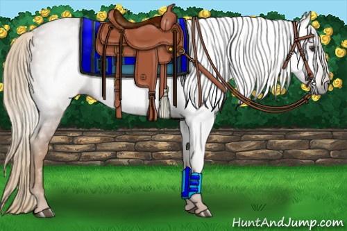 Horse Color:Gray Chestnut 