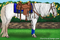 Horse Color:Gray Chestnut 