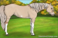 Horse Color:Silver Bay Dun Sabino Tobiano Frame Rabicano 