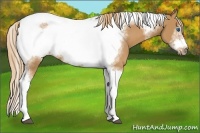 Horse Color:Chestnut Tobiano Frame 
