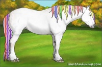 Horse Color:Gray Painted White Spotted Chocolate Silver Classic Cream Champagne Ice Sabino Splash 