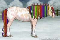 Horse Color:Painted White Spotted Chocolate Sable Cream Champagne Ice Sabino Splash Near Leopard Rabicano 