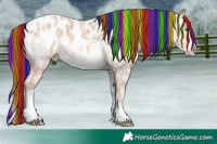 Horse Color:Painted White Spotted Chocolate Sable Cream Champagne Ice Sabino Splash Near Leopard Rabicano