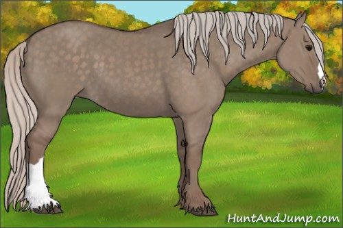 Horse Color:Silver Grullo 